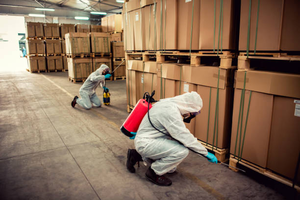 Best Pest Control Cost  in Mangonia Park, FL