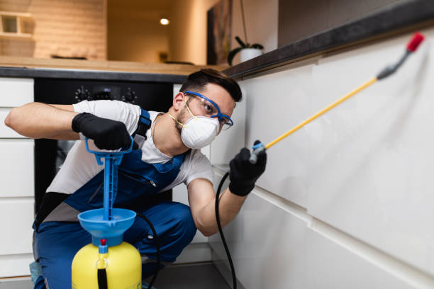 Best Best Pest Control Companies  in Mangonia Park, FL