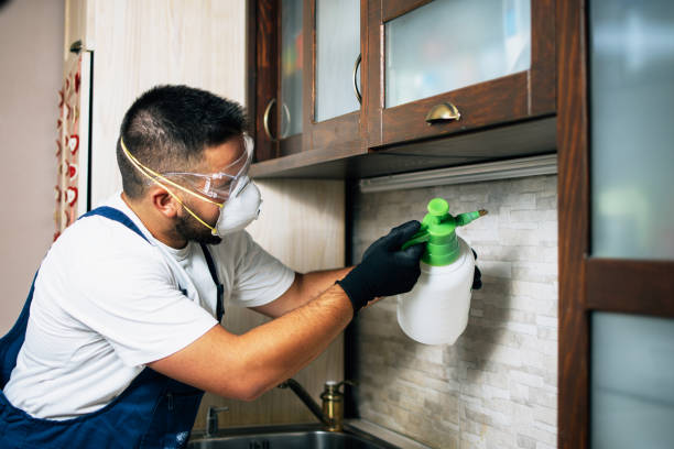 Best Pest Inspection Near Me  in Mangonia Park, FL
