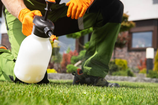 Best Pest Removal Services  in Mangonia Park, FL