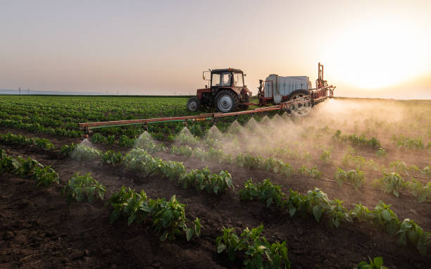 Best Pest Control Treatment  in Mangonia Park, FL