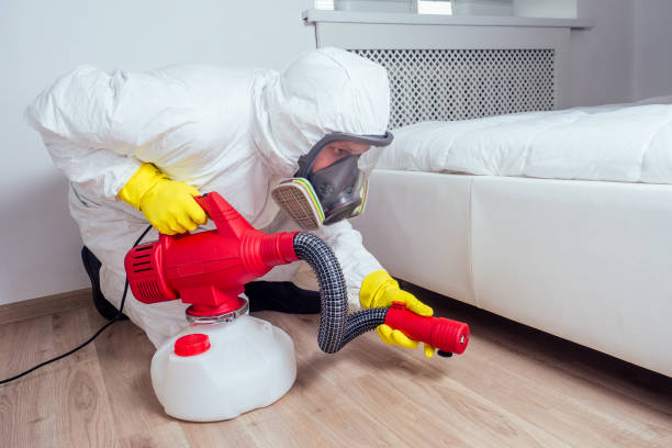 Best Pest Prevention Services  in Mangonia Park, FL