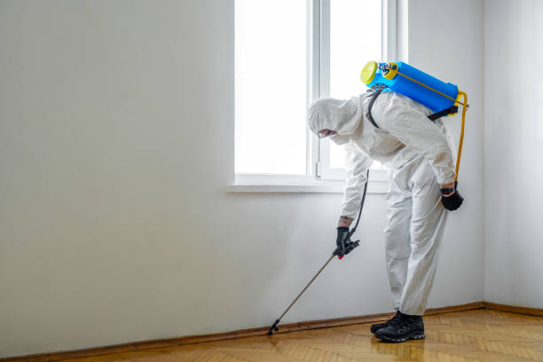 Best Best Pest Control Companies  in Mangonia Park, FL