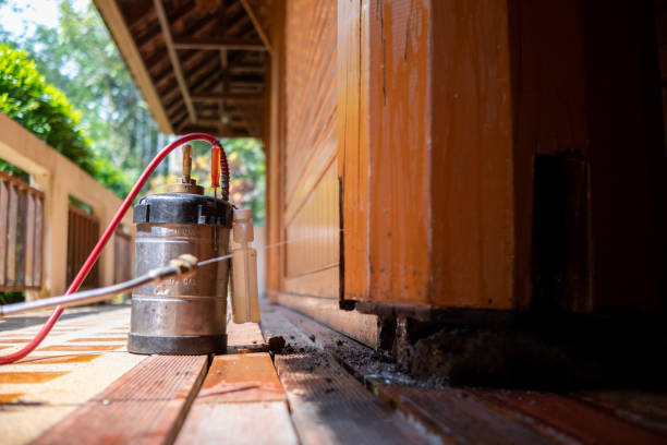 Best Best Pest Control Companies  in Mangonia Park, FL